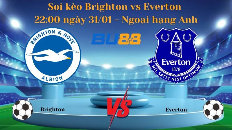 BU88 Nhận định bóng đá Brighton vs Everton 22:00 ngày 31/01 - Ngoại hạng Anh